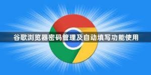 谷歌浏览器如何管理自动填充密码？安全设置全指南