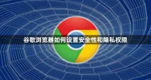 谷歌浏览器隐私保护设置全解析：Chrome 安全、追踪、权限一站式指南